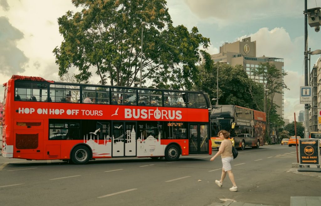 pexels photo 17537139.jpeg