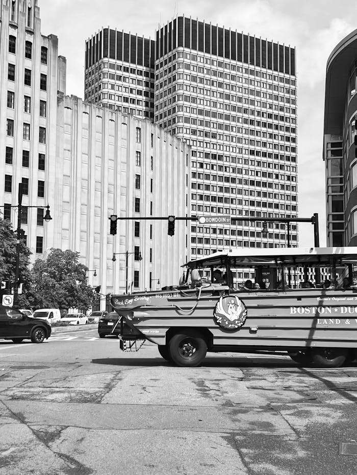 pexels photo 32335160.jpeg