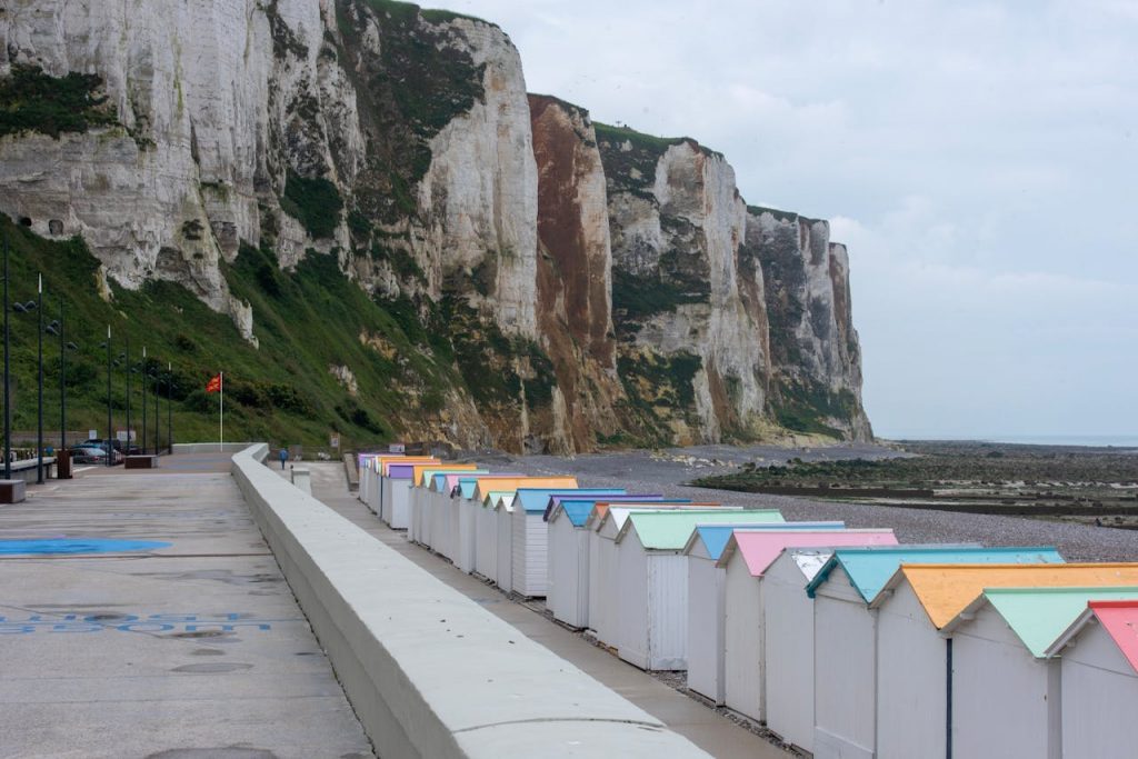 pexels photo 35348325.jpeg